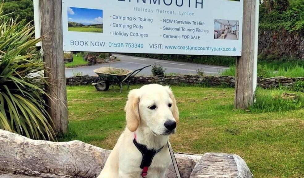 Devon is heaven for dogs staying at Lynmouth Holiday Retreat, voted the UK's most perfect park for pooches Devon is heaven for dogs staying at Lynmouth Holiday Retreat, voted the UK's most perfect park for p
