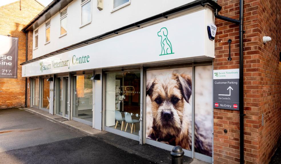 Acorn Vets Acorn Vets