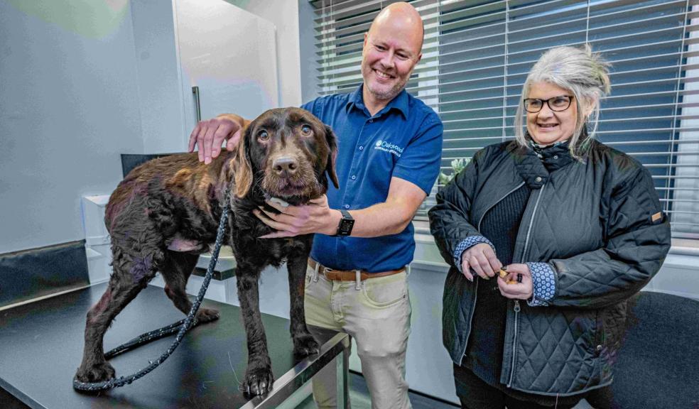 Billy with owner Debbie Antrobus and vet Charlie Sale at Oakwood Veterinary Referrals Billy with owner Debbie Antrobus and vet Charlie Sale at Oakwood Veterinary Referrals
