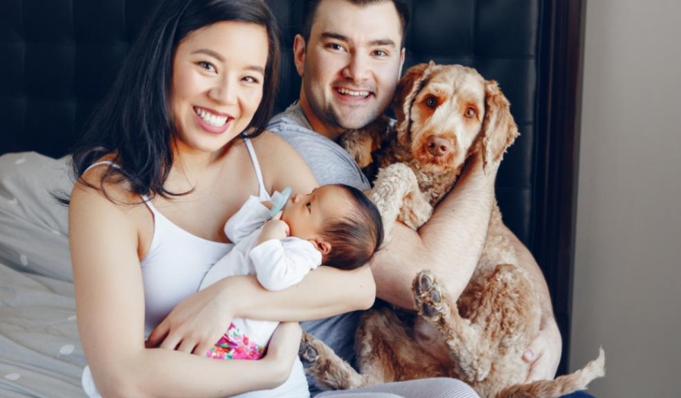 Family with a new baby and a dog Family with a new baby and a dog