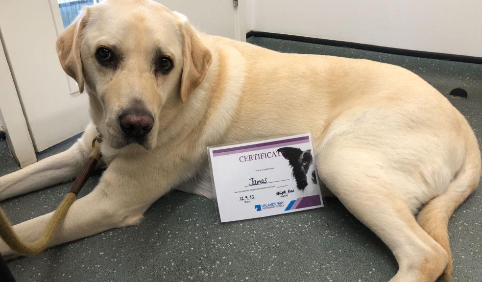 James with his weight loss certificate James with his weight loss certificate