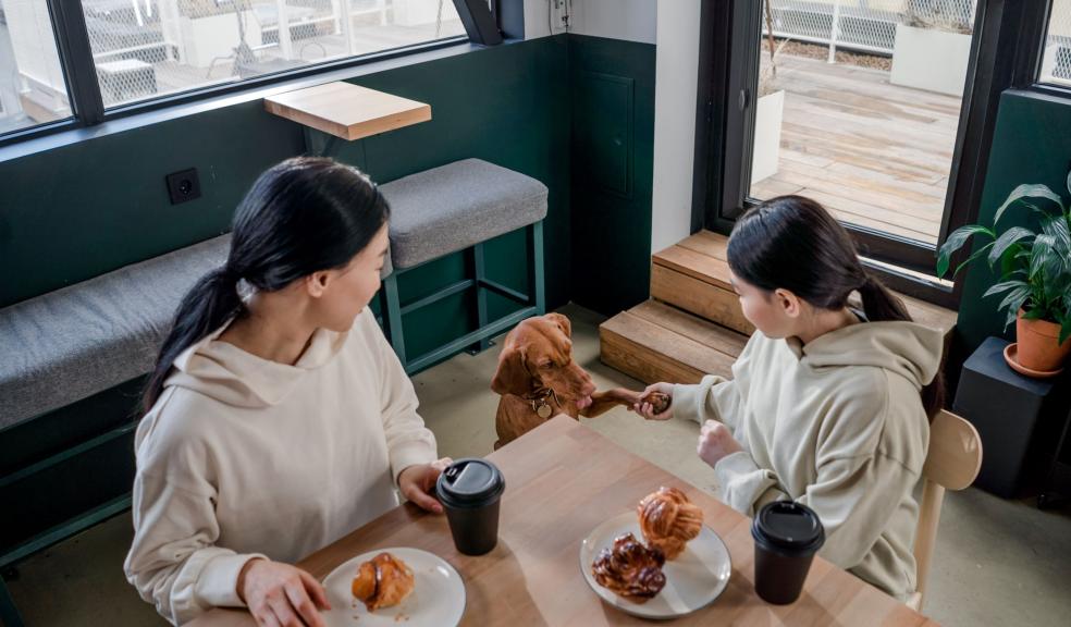 Mother and Daughter Sitting at the Table Having Breakfast Beside a Dog Mother and Daughter Sitting at the Table Having Breakfast Beside a Dog